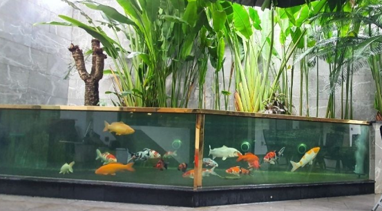 Hồ 2 Kính Nối Tiếp